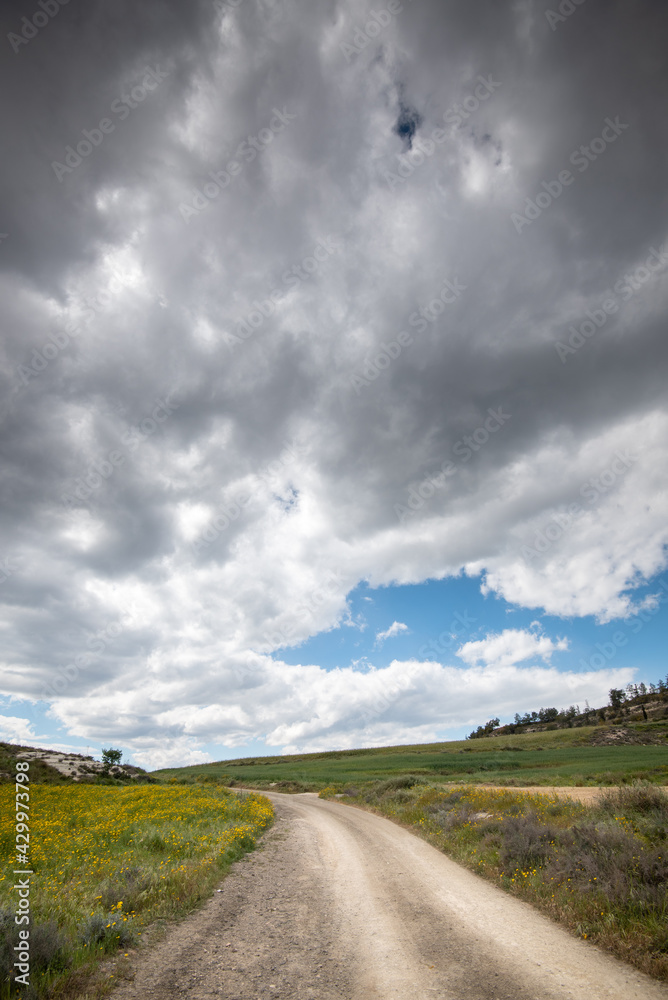 Grassland field in spring against stormy cloudy sky. Empty rural road
