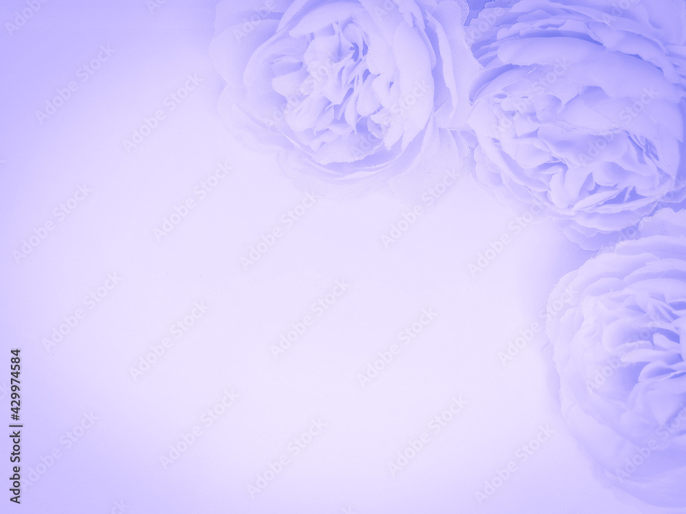 Beautiful abstract color blue and purple flowers on white background and pink graphic pink flower frame and purple leaves texture, purple background, colorful graphics banner, pink background Beautiful abstract color blue and purple flowers on white background and pink graphic pink flower frame and purple leaves texture, purple background, colorful graphics banner, pink background