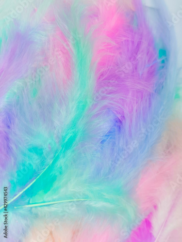 Beautiful abstract light pink feathers on colorful background, colorful feather frame on green purple and blue texture pattern, pink background, love theme wallpaper, valentines day, white gradient