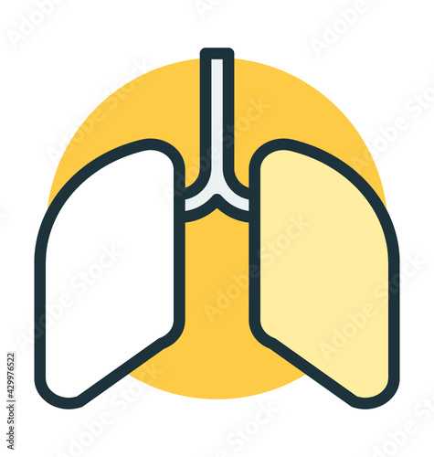 Human Lungs