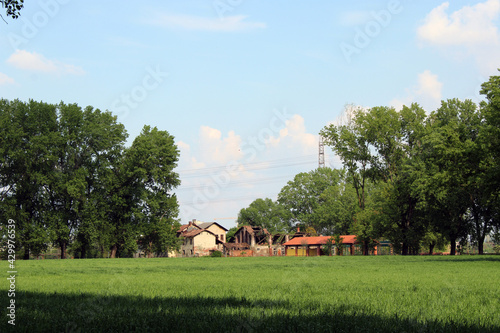 Agricoltura tra resti di antica fattoria e alberi nel parco del ticinello a Milano photo