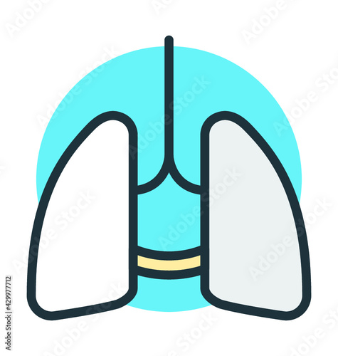 Human Lungs