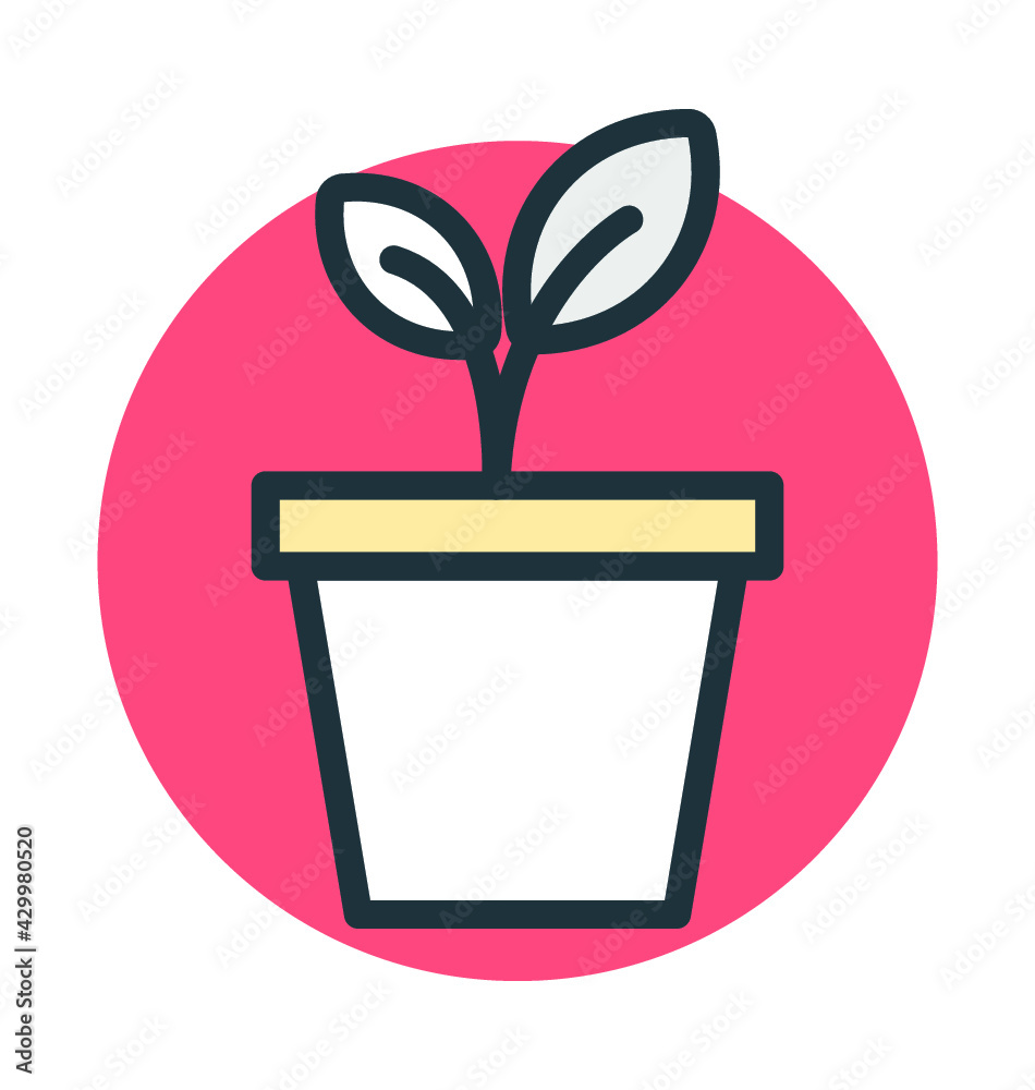 Plantation Plantation
