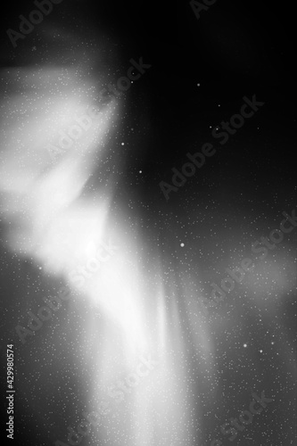 Night starry sky. Northern lights, aurora borealis. Black white vector