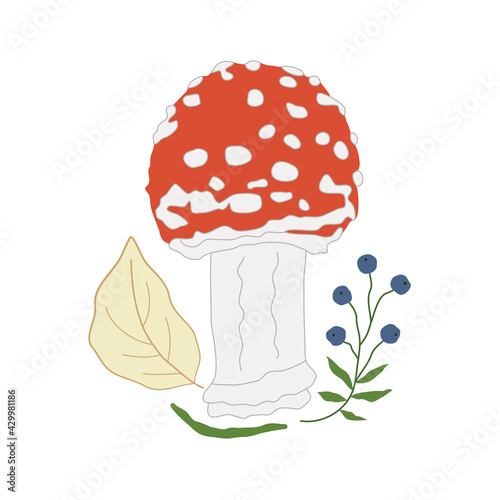 Mushroom amanita with yellow leaves and blueberry sprig. Poisonous red mushroom with white spots. Summer and autumn seasons  September. Forest dwellers, ecology, nature. Medicinal plants for medicine.