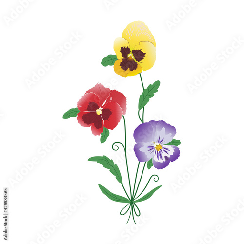 A graceful bouquet of three pansy flowers. Сolorful spring-summer flower arrangement. Garden bloom. Yellow, red, purple, green colors. Hand-drawn vector. Beauty and fashion. For Easter, Mother's Day.