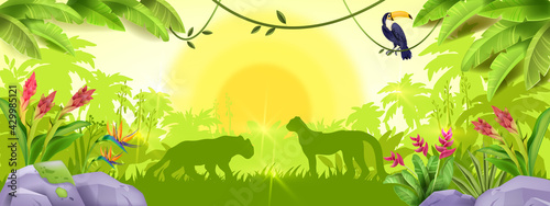 Jungle forest background, tropical paradise wood landscape, leopard outline, toucan, liana, flowers, palm. Rainforest wildlife nature banner, sun, stone, green grass. Exotic sunrise jungle background