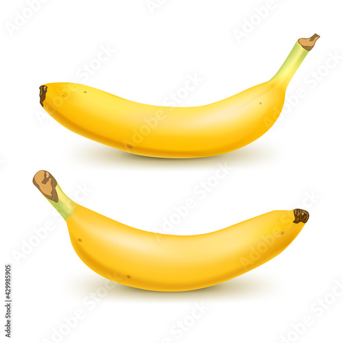 Set of 2 realistic bananas isolated on white background.. Tropical fruits. 3D vector illustration