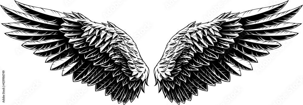 Vector illustration, spread wings of an eagle, on a white background Vector illustration, spread wings of an eagle, on a white background
