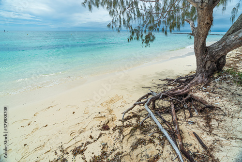 Idyllic tropical beach in Amedee Island, Noumea, New Caledonia photo