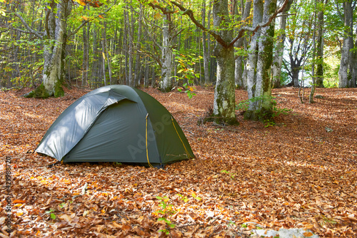 Green tent in autumn forest