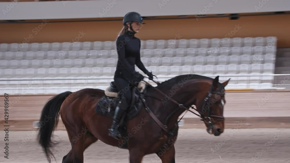 A horsewoman riding a brown horse on arena A horsewoman riding a brown horse on arena