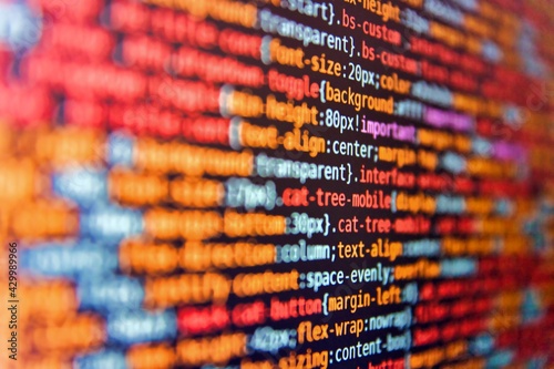 Stampa su tela Programmer occupation