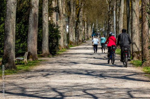 Wallpaper Mural cycling in the park Torontodigital.ca