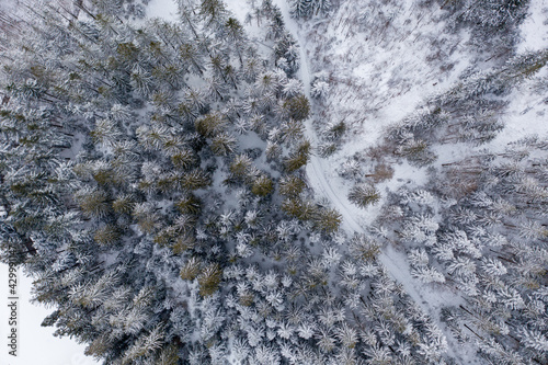 Allgemeiner Blick auf den Schwarzwald im Winter in der Nähe vom Kloster Allerheiligen, Ortenaukreis, Oppenau, Baden Württemberg, Deutschland