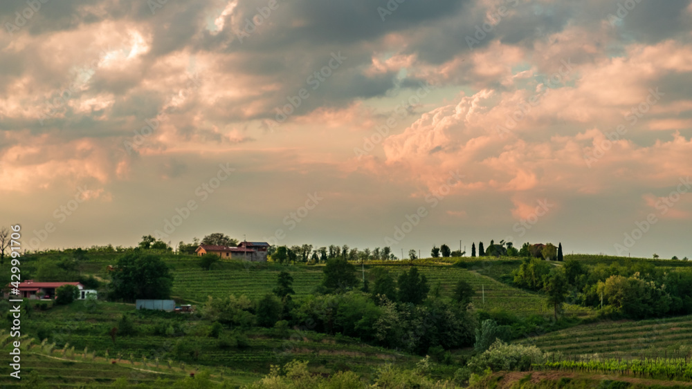 Fototapeta premium Spring stormy sunset in the vineyards of Collio Friulano, Friuli-Venezia Giulia, Italy