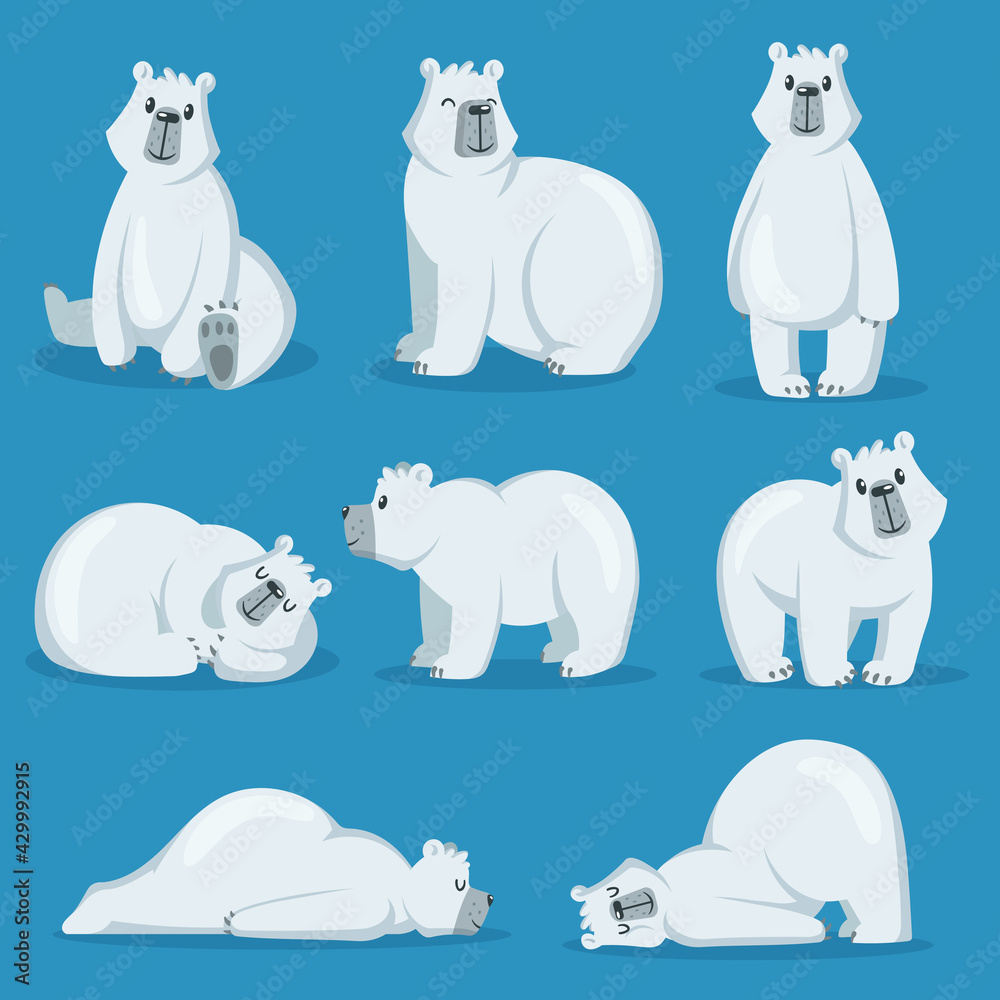 Cute polar bear in various poses set. White arctic animal sitting, sleeping, standing and smiling. Cartoon vector illustration. Zoo, winter, wildlife, fauna concept Cute polar bear in various poses set. White arctic animal sitting, sleeping, standing and smiling. Cartoon vector illustration. Zoo, winter, wildlife, fauna concept