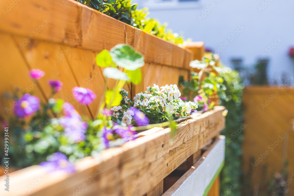 Do it yourself flower box in the own garden Spring flowers in euro