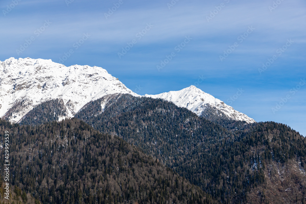 Rocky mountain peaks covered with snow. Trees grow around the mountains. Mountain landscape. Abkhazia.