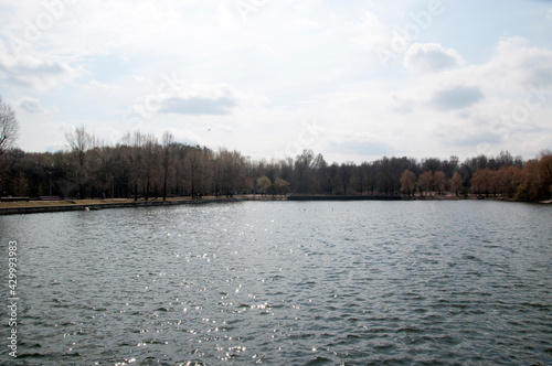 Panoramic views of the calm lake water and trees. Spring sunny day. © Viacheslav