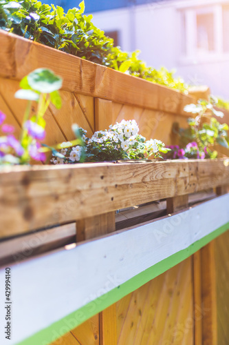 Do it yourself flower box in the own garden: Spring flowers in euro palette photo
