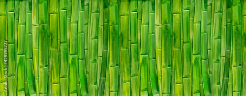 watercolor bamboo stalks © dvoriankin