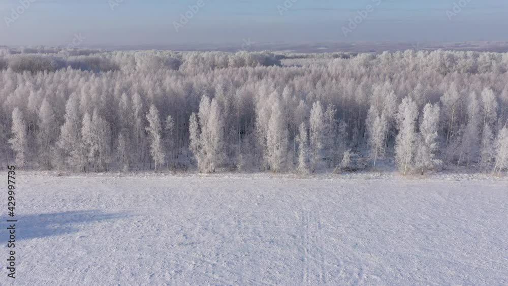 Aerial Shot of Snow White Forest Covered With Hoarfrost. Aerial Shot of Snow White Forest Covered With Hoarfrost.