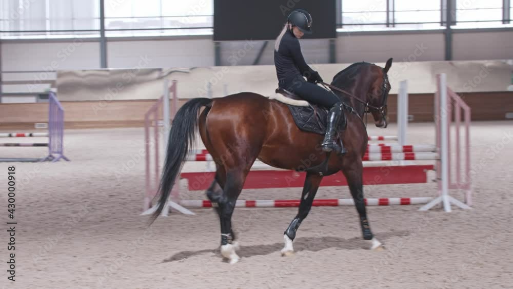Equestrian - a woman slowly rides a horse in an arena Equestrian - a woman slowly rides a horse in an arena