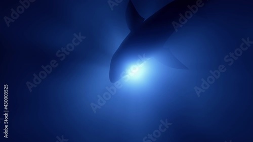 Great white shark megalodon. Realistic underwater 3D animation with sea predator in 4K. The silhouette of a shark against the background of the sun's rays in the water floats away into the darkness.