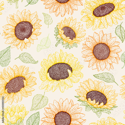 Sunflowers flowers seamless pattern. Organic food, vector doodle hand drawn sketch style illustrations collection isolated. Botanical illustration for packaging, menu cards, posters, prints.