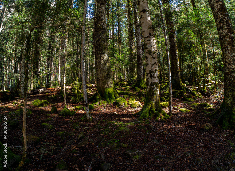 walk through the national park of ordesa and lost mountain walk through the national park of ordesa and lost mountain