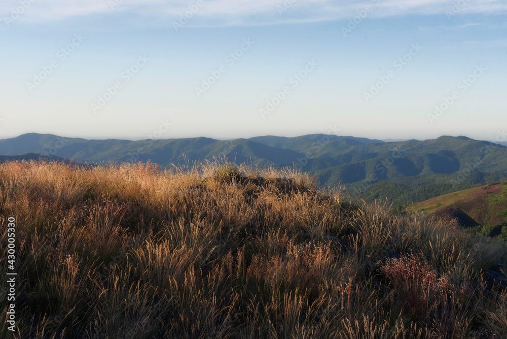 Fototapeta premium Cévennes, les crêtes
