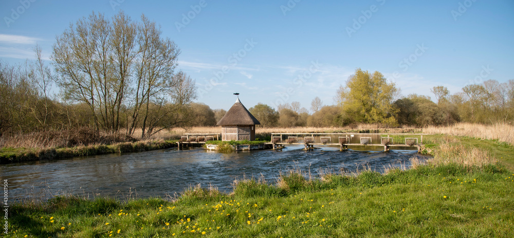 Obraz premium Longstock, Hampshire, England, UK. The River Test as it flows through Longstock with a thatched fishing hut and eel traps spanning this famous chalkstream.