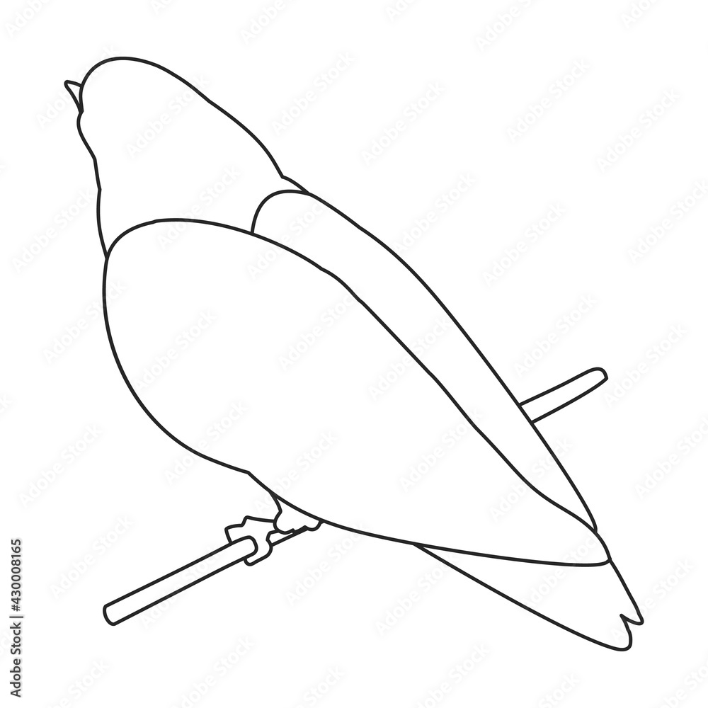 Dove vector outline icon. Vector illustration pigeon on white background. Isolated outline illustration icon of dove . Dove vector outline icon. Vector illustration pigeon on white background. Isolated outline illustration icon of dove .