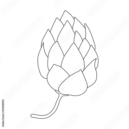 Hop plant vector outline icon. Vector illustration humulus flower on white background. Isolated outline illustration icon of hop plant.