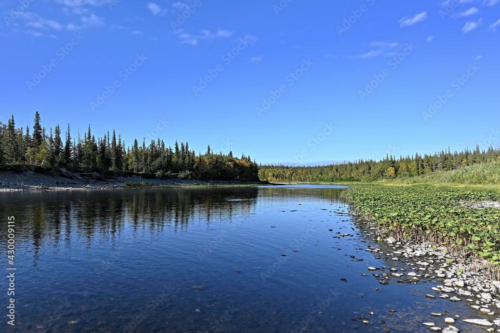 Northern river on a sunny summer day.