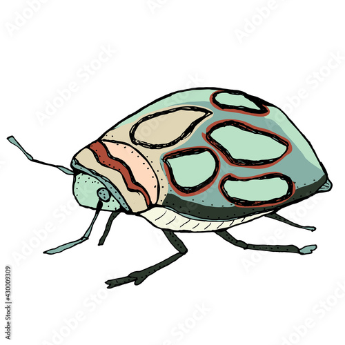 Insect vector illustration. African bug picasso. Hand drawn illustration.
