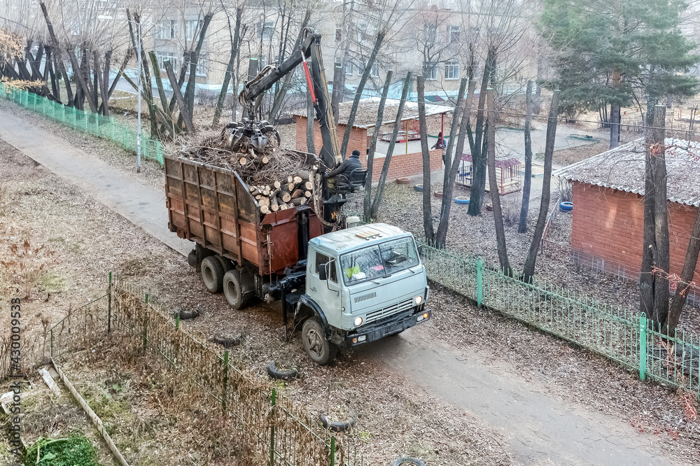Spring works on the improvement of the territory. A car loader loads the cut branches of trees.