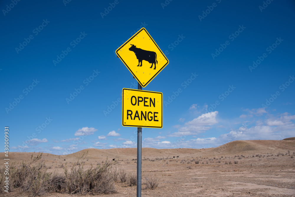 Open Range