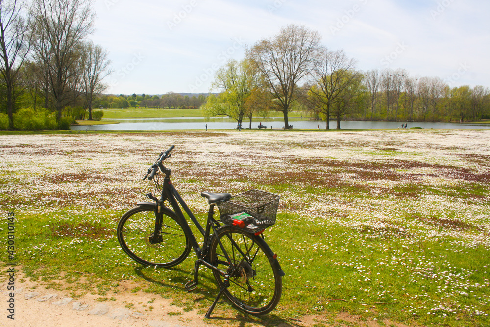 The bicycle with beautiful park at the background