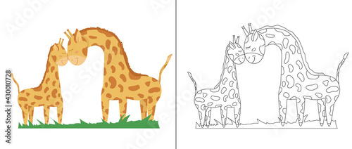 Outline illustration of a mother giraffe and a baby giraffe for coloring on the right side and such an illustration in color on the left side. Children's illustration for coloring.