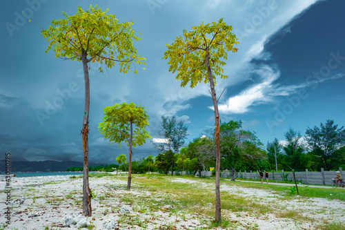 Trees on Gili islands beach, with Cloudy sky
