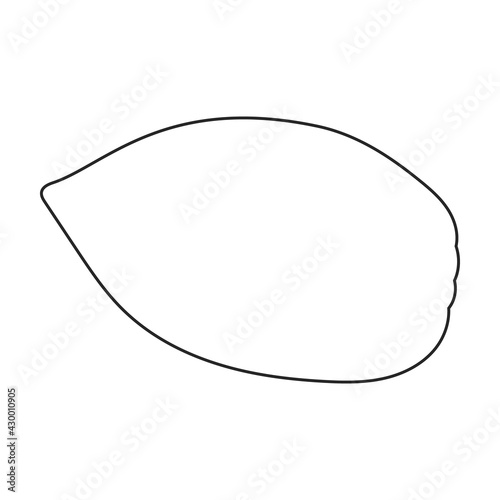 Cocoa bean vector outline icon. Vector illustration cacao on white background. Isolated outline illustration icon of cocoa bean .