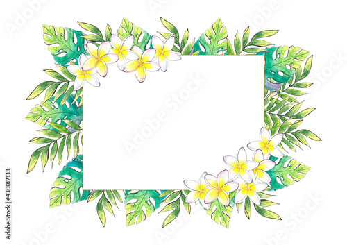 Hand drawn watercolor summer botanical frame with florers and branches © Alena