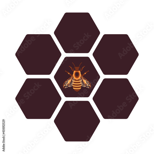 Vector honeycomb and bee logo isolated on white background.