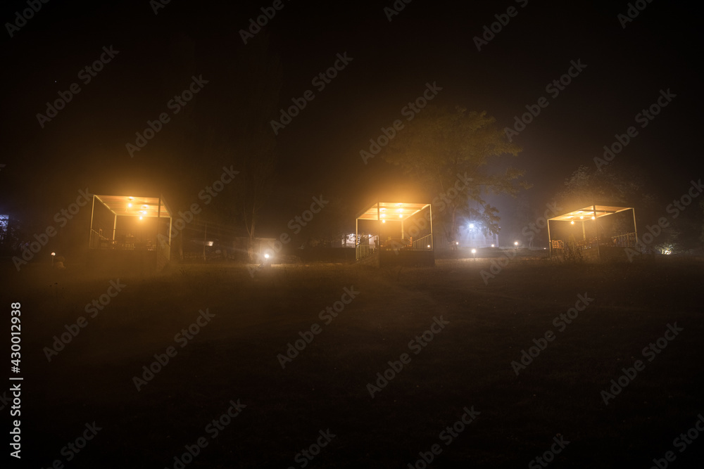 Trees and street lamps on a quiet foggy night. Foggy misty evening lamps in empty road.