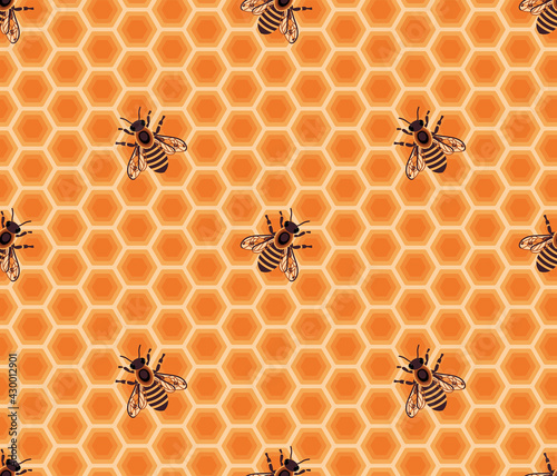 Seamless pattern with honey bee inside beehive. Honeycomb cells. Beekeeping concept. Vector background with bees.
