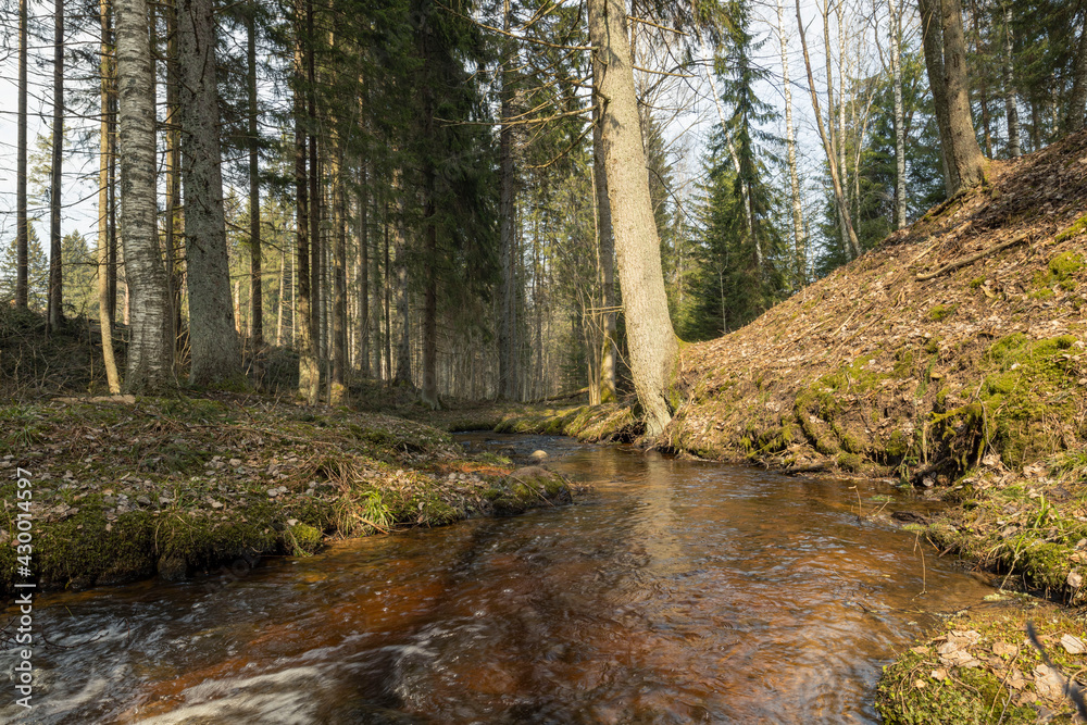 Obraz premium Cascade falls over mossy rocks in spring