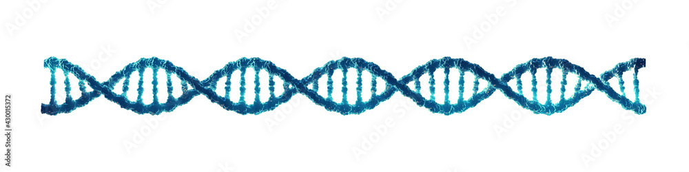 Double helix DNA molecule isolated on white background. Molecular ...