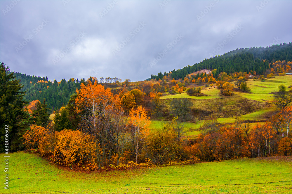 Autumn colors at rainy day in Savsat of Turkey